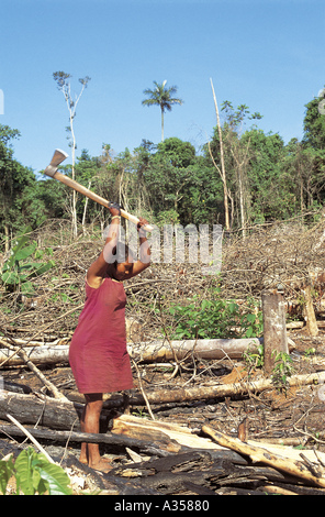 Un Ukre Village Kayapo Brésil femme couper du bois dans les champs à l'aide d'une hache Parc du Xingu Banque D'Images