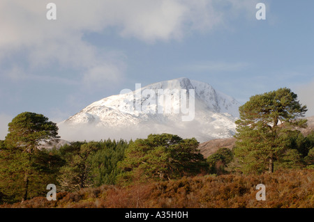 Mam Sodhail enneigés des tours de montagne au-dessus de la forêt de pins de Glen Affric Inverness-shire. XPL 4499-425 Banque D'Images