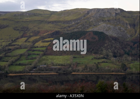 Forêt avec shamrock symbole dans les arbres chalet isolé et glencar Lake près de benbulben Comté de Sligo Banque D'Images