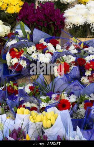 Bouquets de fleurs mixtes en vente sur un étal de fleurs vertical dublin Grafton street Banque D'Images