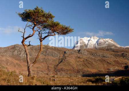 Slioch Loch Maree montagne domine à Kinlochewe, Wester Ross dans les Highlands écossais. XPL 4465-422 Banque D'Images