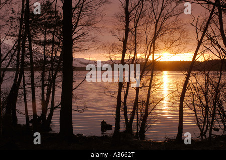 Coucher de Loch Garten, Strathspey, région des Highlands. L'Écosse. XPL 4520-427 Banque D'Images