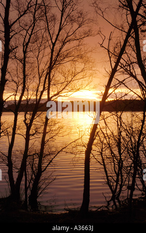 Coucher de Loch Garten, Strathspey, région des Highlands. L'Écosse. XPL 4521-427 Banque D'Images