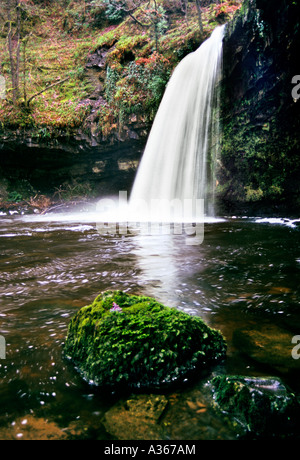 Vue d'automne Sgwd Gwladys falls Afon Nedd Fechan Neath River South Wales Banque D'Images