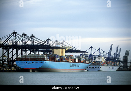 Emma Maersk Container bateau amarré sur Trinity quai du port de Felixstowe dans le Suffolk, UK. Banque D'Images