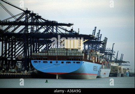 Emma Maersk Container bateau amarré sur Trinity quai du port de Felixstowe dans le Suffolk, UK. Banque D'Images