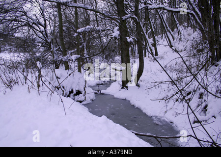Ruisseau gelé serpentant à travers une forêt enneigée en Tchéquie. Banque D'Images