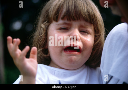 Tout-petit pleurer avoir de colère Banque D'Images