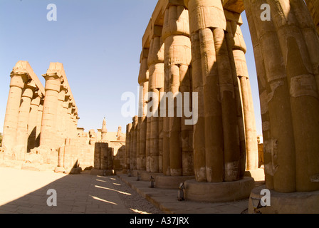 Colonnes du temple de Louxor en Égypte Néfertari Ramsès II Egypte Louxor décorations hall court Afrique du Nord Banque D'Images