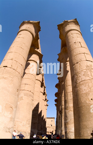 Colonnes du temple de Louxor en Égypte Néfertari Ramsès II Egypte Louxor décorations hall court Afrique du Nord Banque D'Images