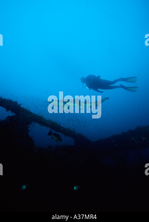 Et plongeur sous-marin off sand tiger shark NC Morehead City Banque D'Images