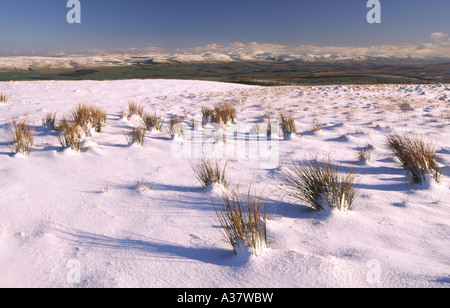 Paysage d'hiver de l'herbe sur le côté de Hare Hill East Ayrshire face aux collines enneigées Lowther Scotland UK Banque D'Images