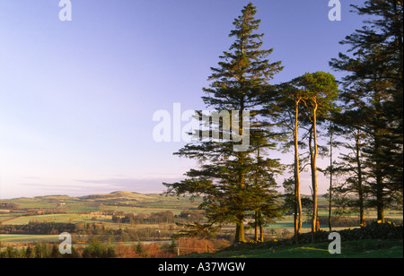 Paysage d'hiver tôt le matin à la Tour de la repentance dans Annandale Scotlland UK Banque D'Images