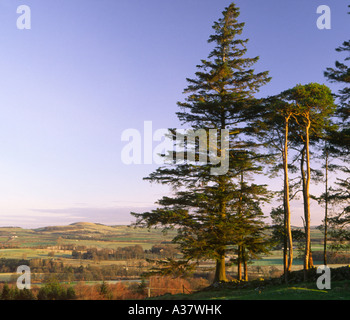 Paysage d'hiver tôt le matin à la Tour de la repentance dans Annandale Scotlland UK Banque D'Images