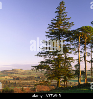 Paysage d'hiver tôt le matin à la Tour de la repentance dans Annandale Scotlland UK Banque D'Images