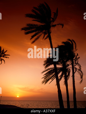 Coucher du soleil sur la plage près de Le Grand Hôtel de l'îles Kerkennah, Tunisie, Afrique du Nord Banque D'Images