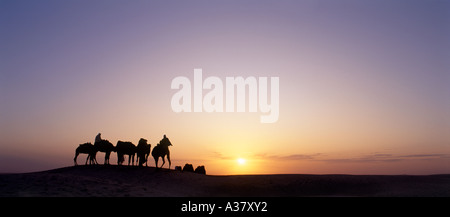 Vue panoramique des Bédouins et des chameaux au coucher du soleil, Douz, Sahara, Tunisie, Afrique du Nord Banque D'Images