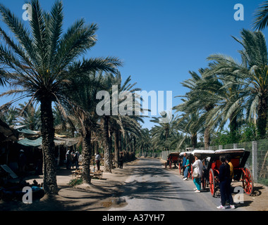 Voyage itinérant en chariots et dans le marché à l'Oasis de Gabès, Sahara, Tunisie, Afrique du Nord Banque D'Images