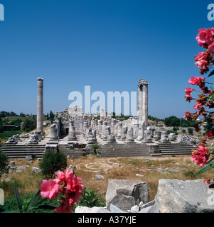 Temple d'Apollon, Altinkum, Didim, Turquie Banque D'Images