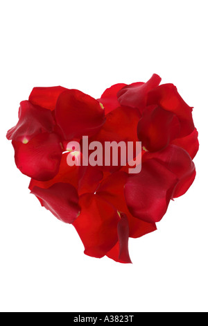 Pétales de rose rouge en forme de coeur Banque D'Images