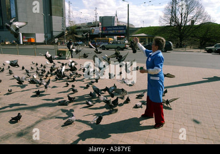 Une femme nourrit les pigeons dans la rue dans le centre de Riga Banque D'Images
