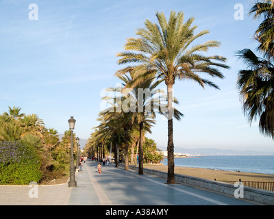 Promenade bordée de palmiers à San Pedro de Alcantara, Andalousie Espagne dans la lumière du soleil de l'après-midi d'hiver Banque D'Images