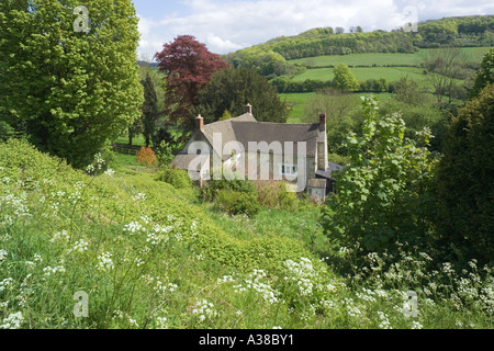 'Rosebank' dans le village de Cotswold Slad, Gloucestershire. La maison d'enfance de Laurie Lee, auteur de "Rosie avec cidre'. Banque D'Images