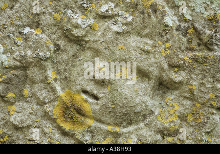 Le visage d'un chérubin à un lichen couvertes de pierres tombales géorgiennes Norfolk England UK Banque D'Images