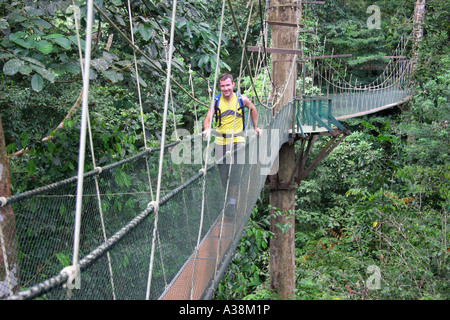 Mulu Canopy Skywalk à Gunung Mulu National Park, Sarawak, Bornéo, Malaisie Banque D'Images