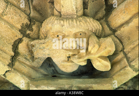 Pierre sculptée homme vert détail du plafond en 15e C. Chapter House à l'abbaye de Glenluce, Dumfries et Galloway, Écosse Royaume-Uni Région Banque D'Images