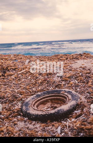 Plage, Sardaigne, Italien, Close up, pollution, détail, dispersés dans l'environnement, le vandalisme, l'écologie, écrasé, abandonné Banque D'Images