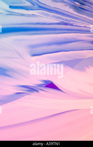 Forme naturelle décorative avec de beaux tons chauds Banque D'Images