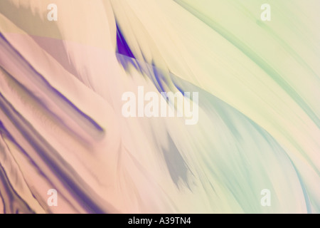 Forme naturelle décorative avec de beaux tons chauds Banque D'Images