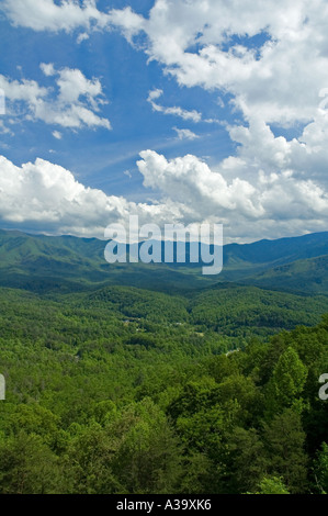 Au début du printemps de Foothills Parkway, TN Banque D'Images