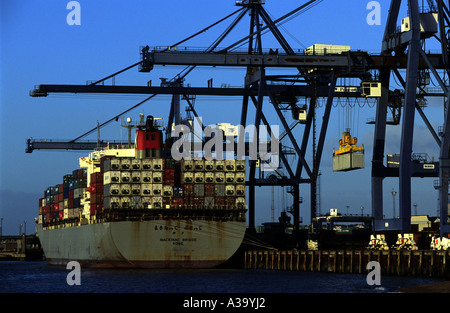 Landguard quai du port de Felixstowe dans le Suffolk, le premier port de conteneurs. Banque D'Images