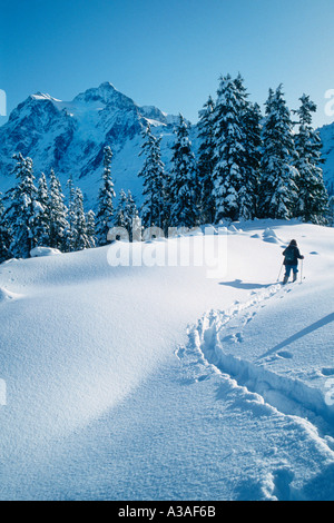 Mont Shuksan, WA, USA, ski de fond, Ski, skieur, hiver, Cascades nord, Mt Baker, Washington State, North Cascades Banque D'Images