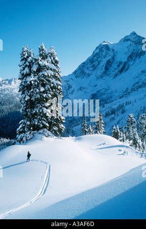 Mont Shuksan, WA, USA, ski de fond, Ski, skieur, hiver, Cascades nord, Mt Baker, Washington State, North Cascades Banque D'Images