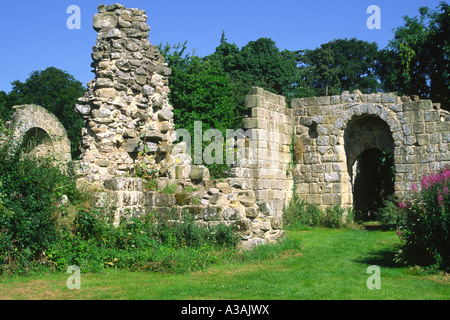 Ruines de l'abbaye de Jervaulx près de Masham dans le Yorkshire Dales Banque D'Images