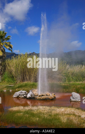 Tir Geyser dans Calistoga California Old Faithful Geyser de Californie Napa Valley Banque D'Images