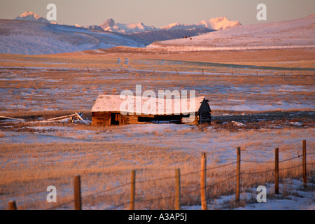 Vieux Chalet en bois avec des Montagnes Rocheuses Banque D'Images