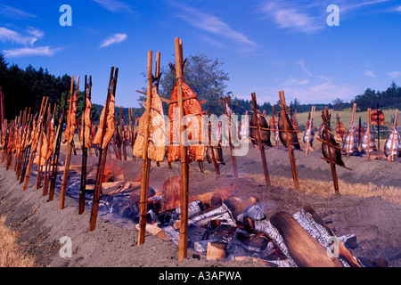 Cuire le saumon sauvage / Barbecue - cuisine de style indien traditionnel plus de bois d'aulne dans Open Fire Pit, British Columbia, Canada Banque D'Images