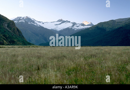 Rob Roy Peak et Mt Tititea en herbe au coucher du soleil Mt aspirant National Park Otago ile sud Nouvelle Zelande Banque D'Images