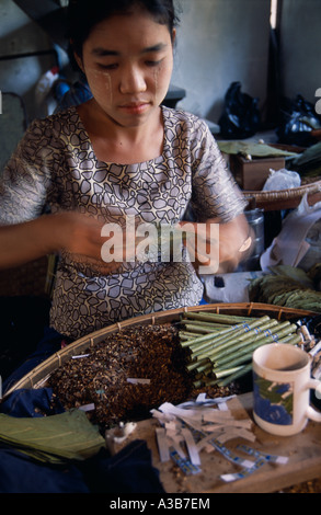 Asie du Sud-Est Birmanie Myanmar Bago Cheroot jeune travailleuse d'usine (y compris ceux à rouler à la main à l'intérieur du milieu de travail Banque D'Images