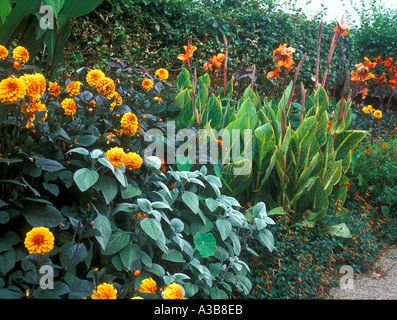 Frontière mixtes y compris Dahlia & Canna fleurit. Banque D'Images