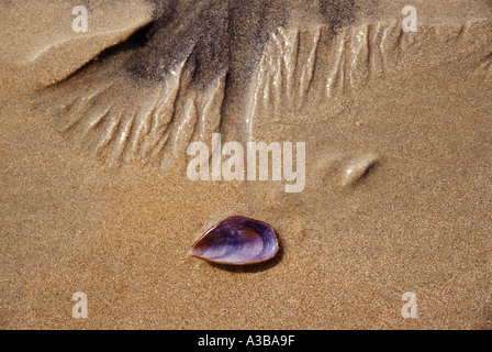 nature close up, concept de nature, nature conceptuelle, fond de nature, nature abstraite Banque D'Images