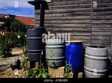 Plusieurs mégots de l'eau réunis pour recueillir l'eau de pluie à partir d'un abri de jardin dans le village de Hollesley, Suffolk, UK. Banque D'Images