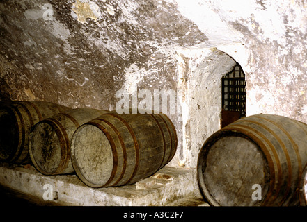 Fûts de vin Banque D'Images