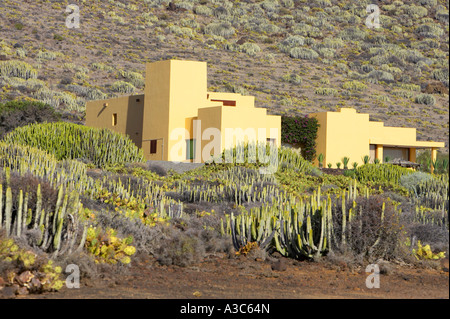 Pueblo espagnol traditionnel jaune entourée par domaine d'euphorbia canariensis canary island Banque D'Images