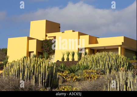 Pueblo espagnol traditionnel jaune entourée par domaine d'euphorbia canariensis île des Canaries et de l'euphorbe ésule cactus opuntia Banque D'Images