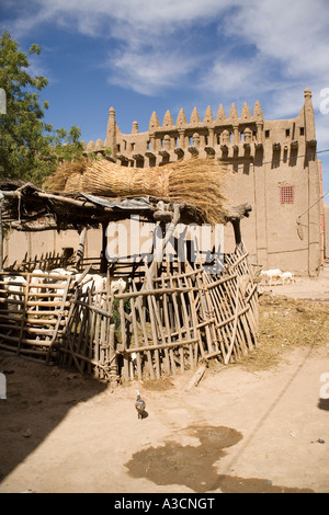 Moutons dans les rues de Djenné, Mali, Afrique de l'Ouest Banque D'Images